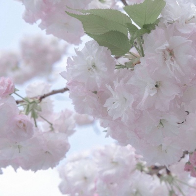 兽设四季场景绘制兽圈社群